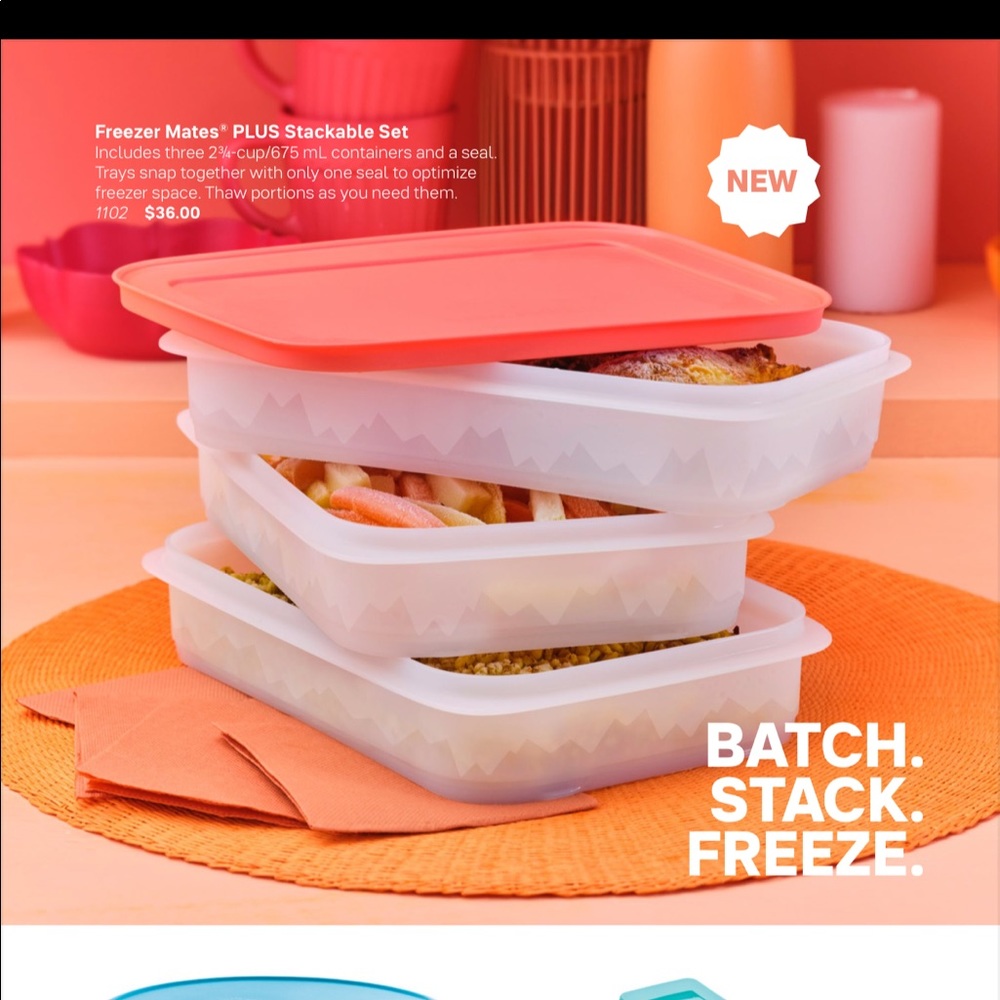 Frizzer  mates by tupperware